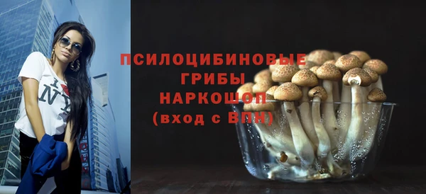 ГАЛЛЮЦИНОГЕННЫЕ ГРИБЫ Балахна