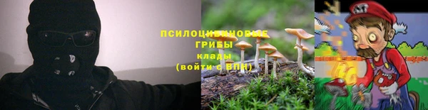 марки nbome Белокуриха